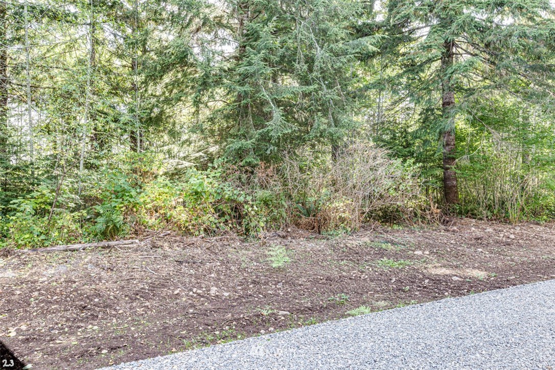 99923 Thomas Street Forks, WA 98331 - Photo 1 of 4 Gallery Image 1
