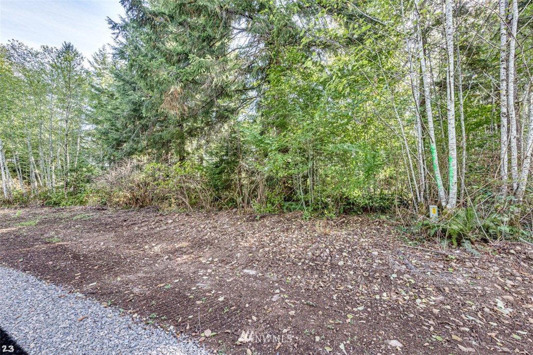 99923 Thomas Street Forks, WA 98331 - Photo 2 of 4 Gallery Image 2