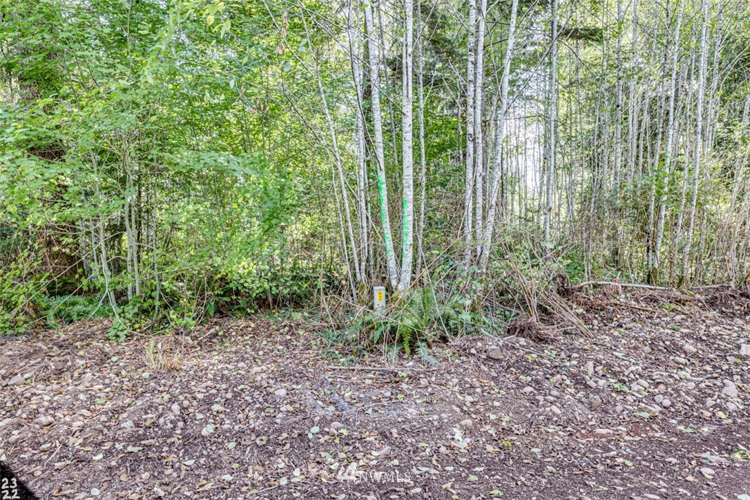 99923 Thomas Street Forks, WA 98331 - Photo 3 of 4 Gallery Image 3