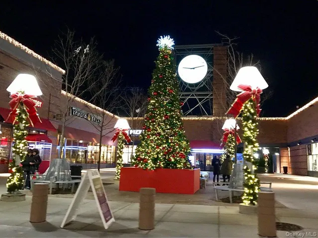 $500,000 | 1020 Elton Street, Unit 18BB | East New York