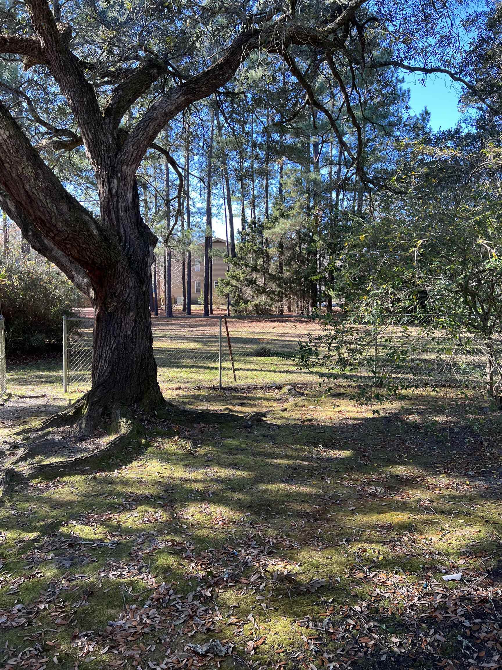 2187 North Fraser Street Georgetown, SC 29440 - Photo 18 of 22