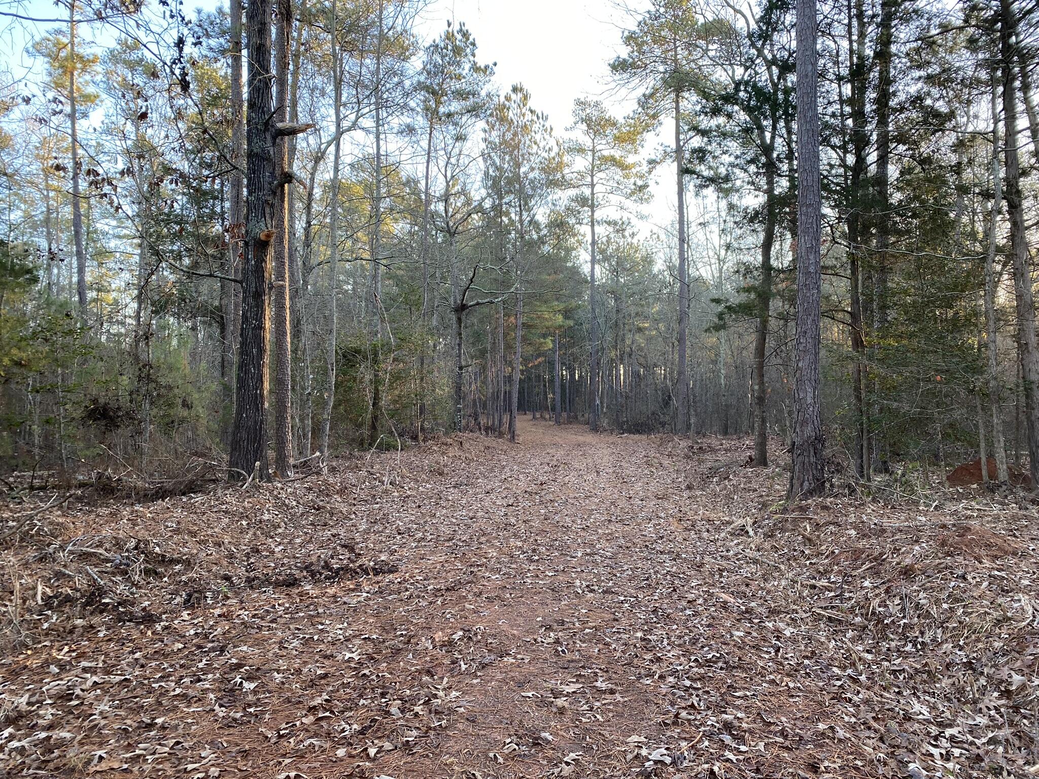 Batesburg-leesville Sc 29006 Road Leesville, SC 29070 - Photo 6 of 22