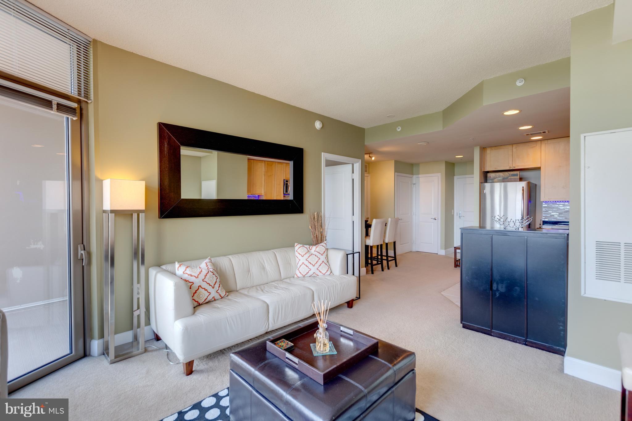 3600 South Glebe Road, Unit 921W Arlington, VA 22202 - Photo 17 of 30 Living Room