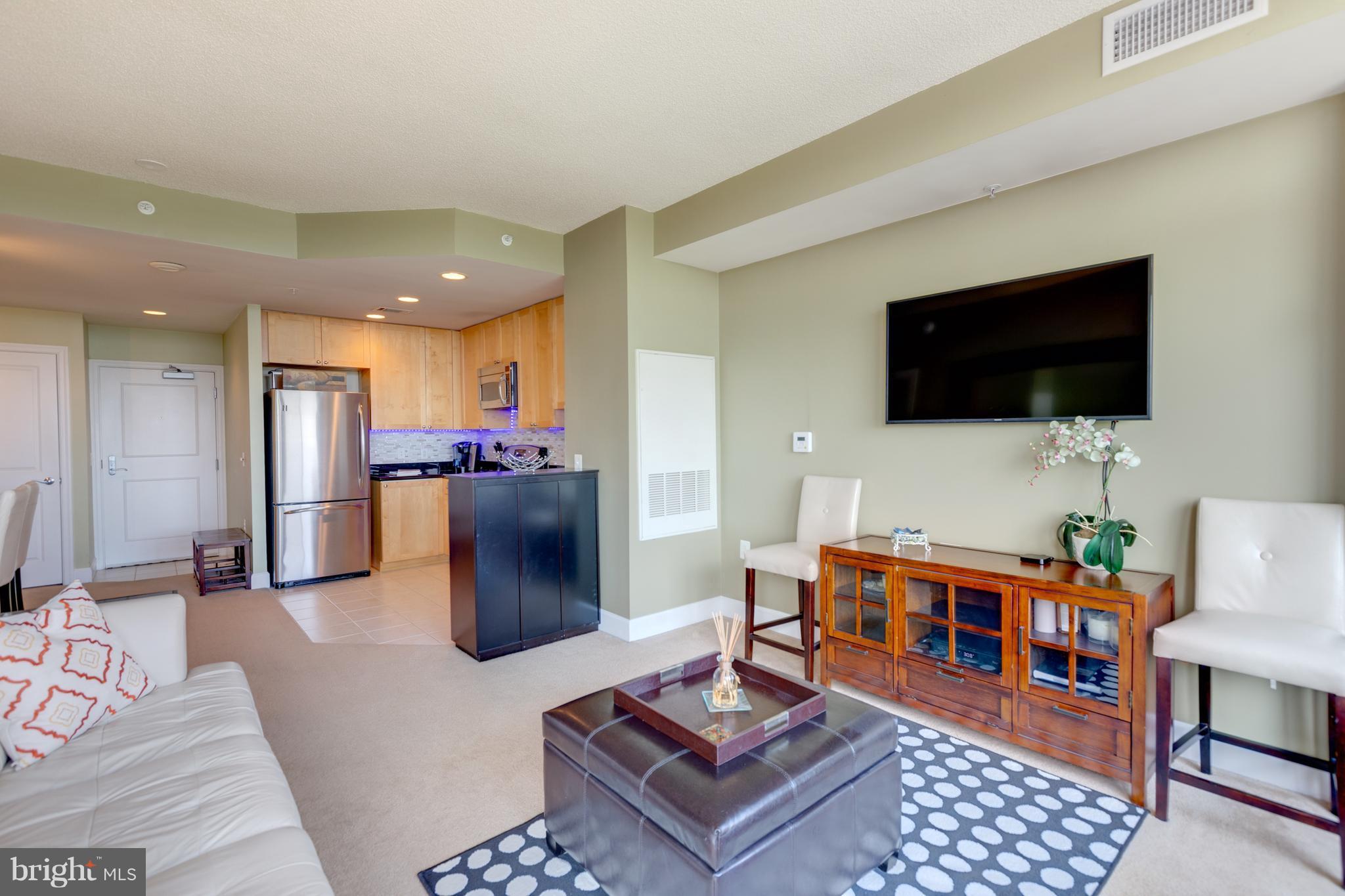 3600 South Glebe Road, Unit 921W Arlington, VA 22202 - Photo 18 of 30 Living Room