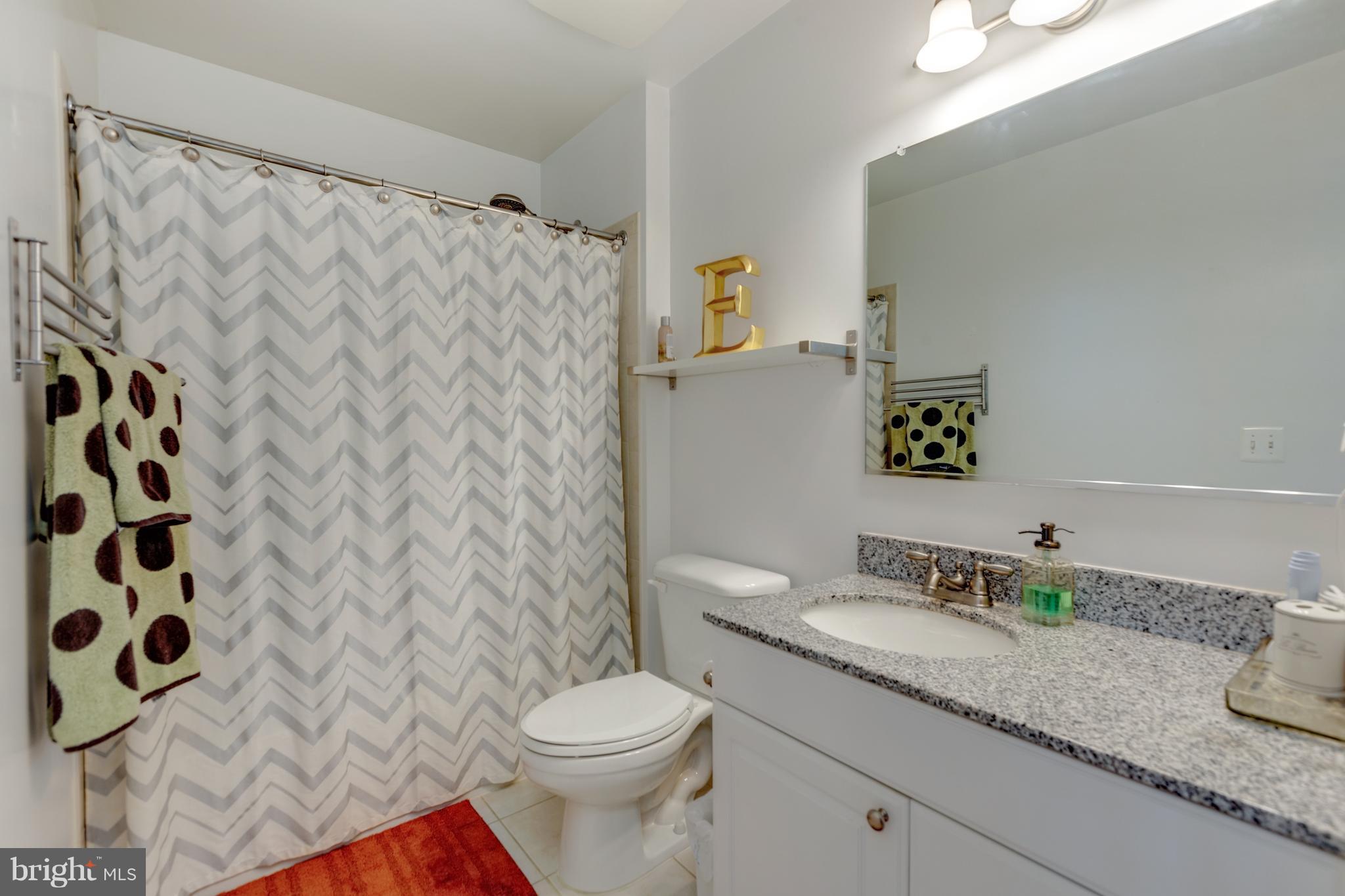 3600 South Glebe Road, Unit 921W Arlington, VA 22202 - Photo 21 of 30 Bath (Master)
