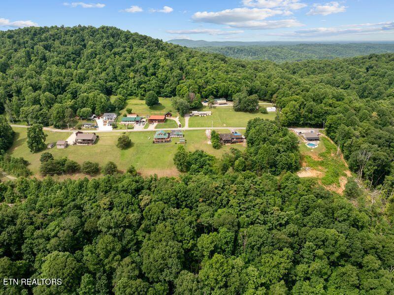 976 Livingston Boatdock Road Allons, TN 38541 - Photo 13 of 21 gedwill use 6