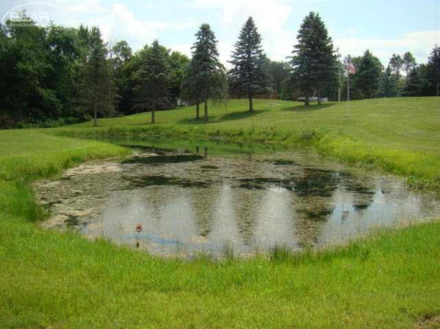 12192 North Linden Road Clio, MI 48420 - Photo 9 of 46 20442397-8.JPG