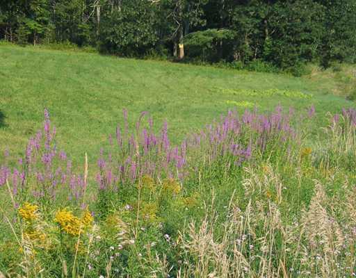 625 North Newcastle Road Newcastle, ME 04553 - Photo 6 of 13 Land.