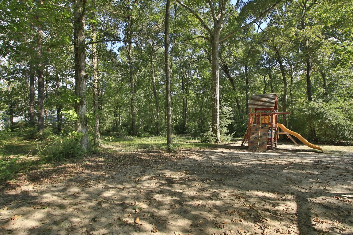 1547 Ruby Drive Willis, TX 77378 - Photo 43 of 45 a view of outdoor space with trees