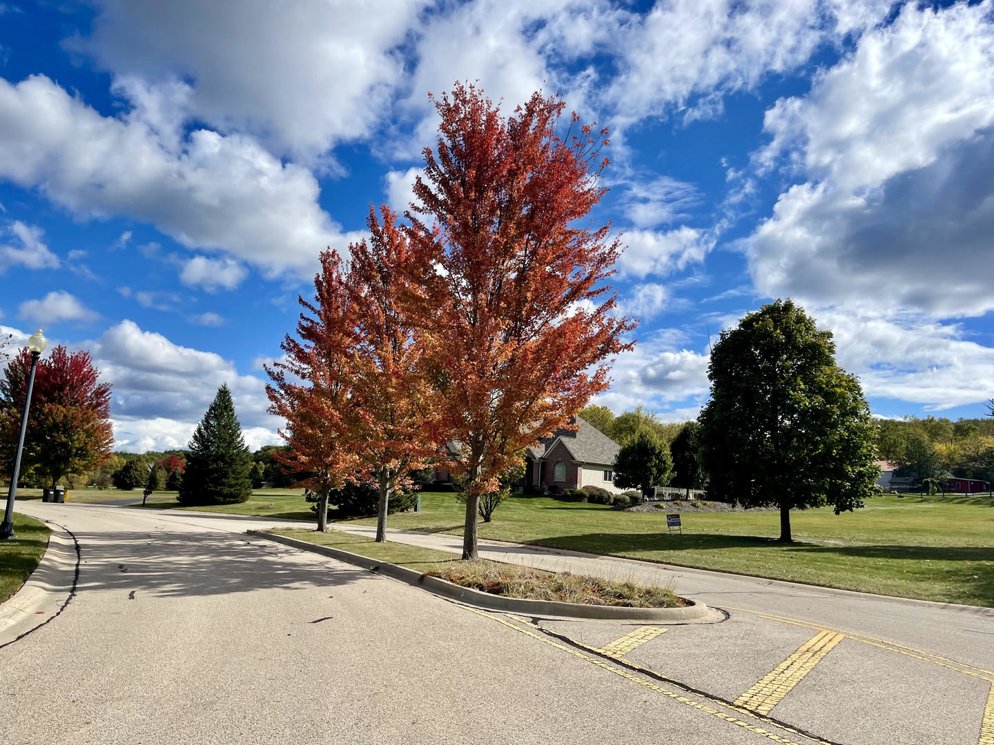 7393 English Oak Lane Spring Grove, IL 60081 - Photo 1 of 6 a view of a park with large tree