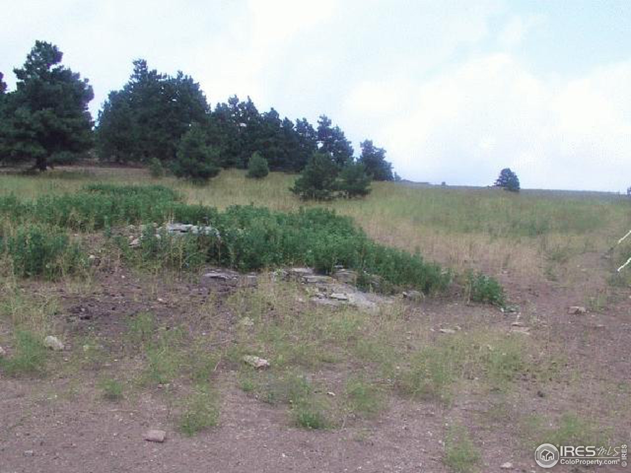 11716 West Ranch Elsie Road Golden, CO 80403 - Photo 1 of 2 a view of a field with trees in the background