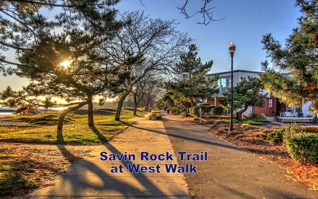 a view of a street with of trees