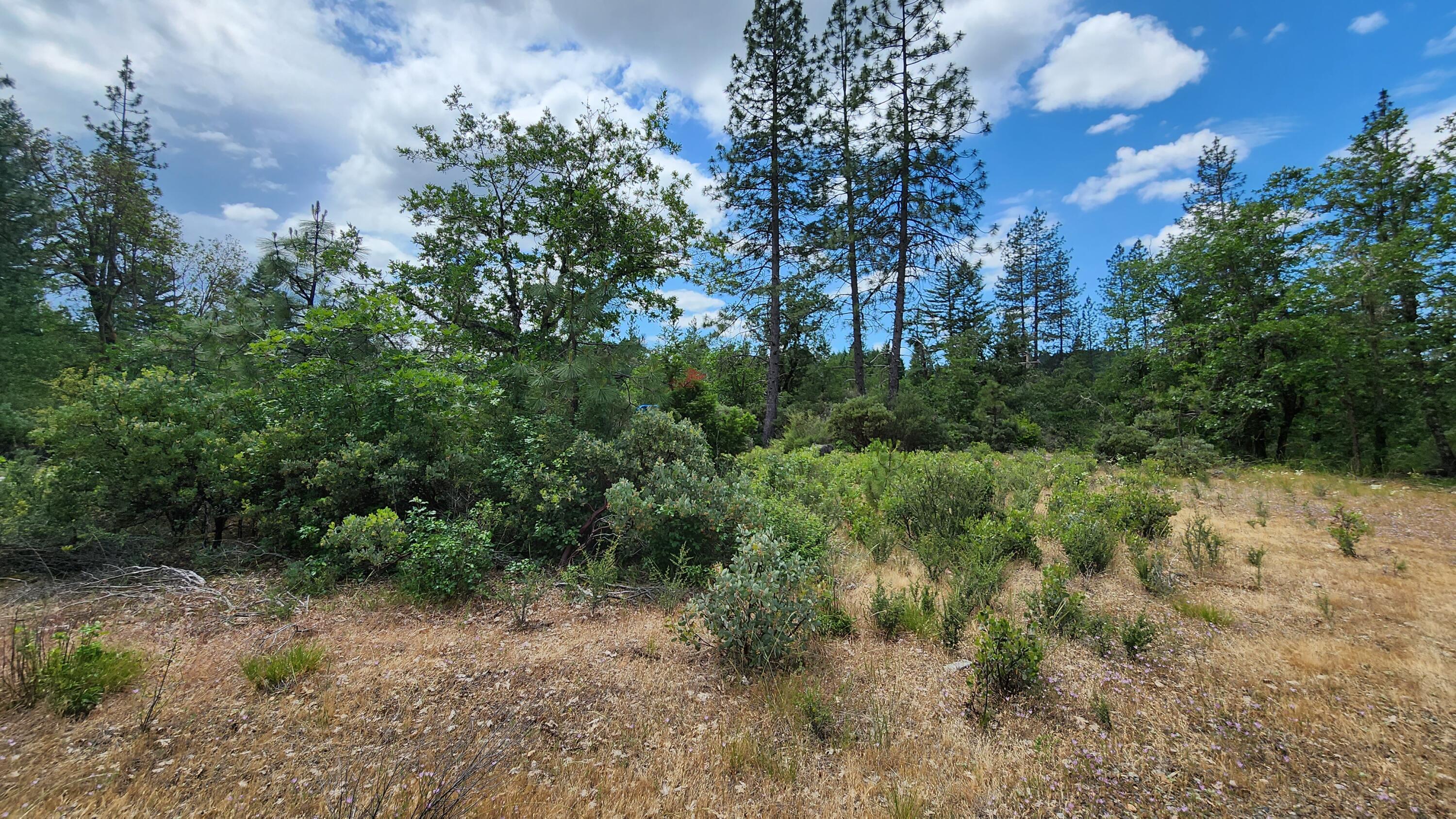 5894 Rockydale Road Cave Junction, OR 97523 - Photo 6 of 23 20230608_125828