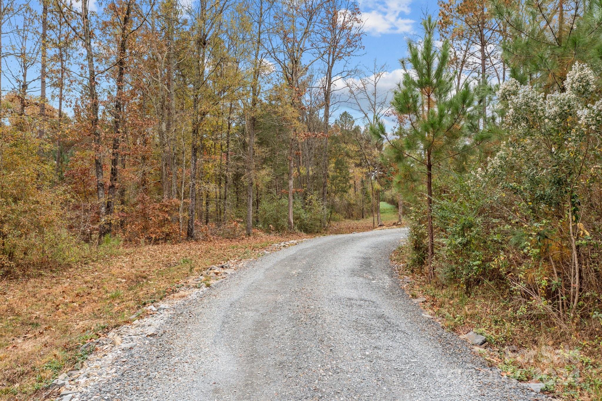 450 Bringle Ferry Road Denton, NC 27239 - Photo 48 of 48 a view of a yard with a tree