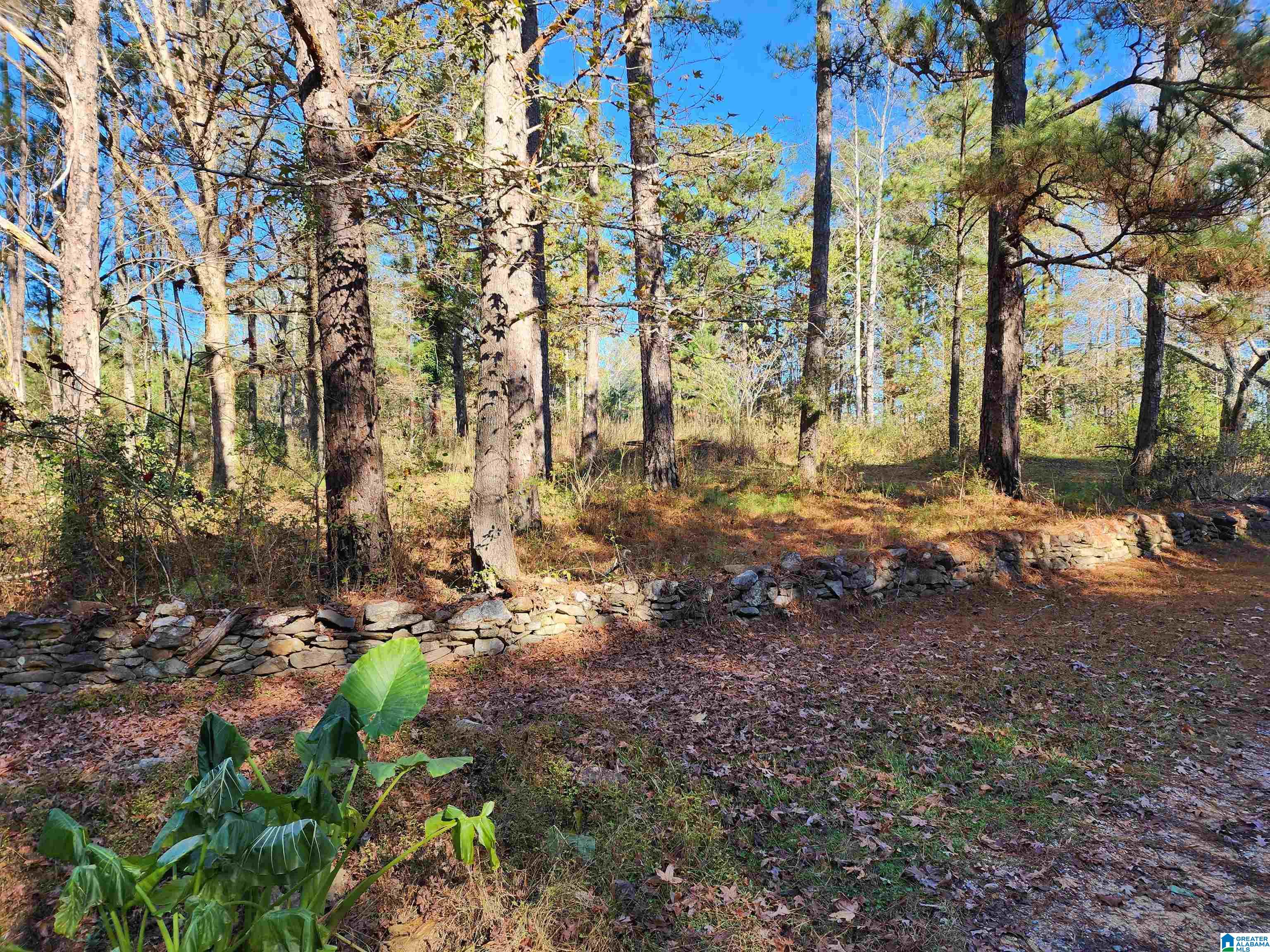524 Raccoon Trail Goodwater, AL 35072 - Photo 5 of 21