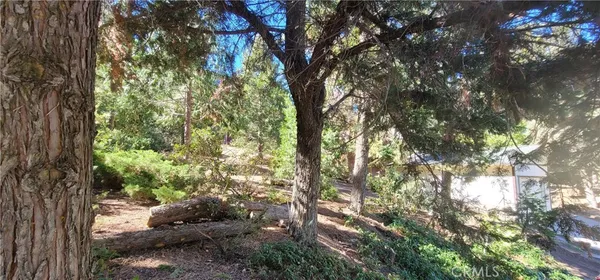 $2,700 | 1317 Pinetree Drive, Frazier Park, CA 93225