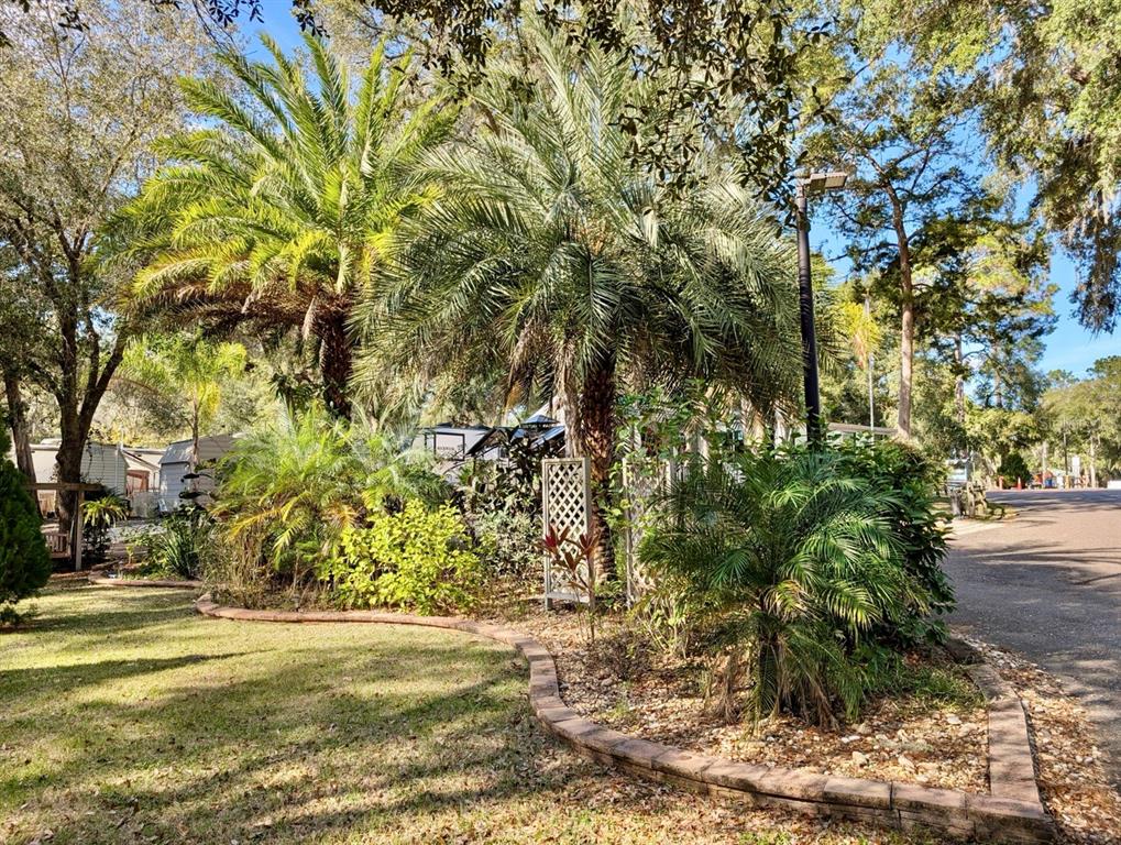 14131 Northeast 253rd Ave Road Salt Springs, FL 32134 - Photo 19 of 26 a view of beach and tree