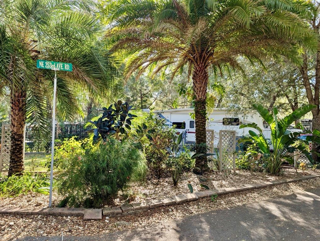 14131 Northeast 253rd Ave Road Salt Springs, FL 32134 - Photo 26 of 26 a picture of plants