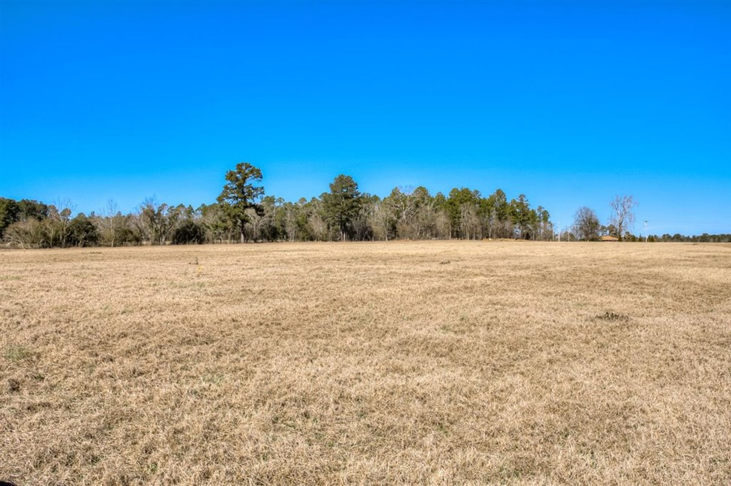 Lot 4 Wire Road Aiken, SC 29801 - Photo 4 of 13