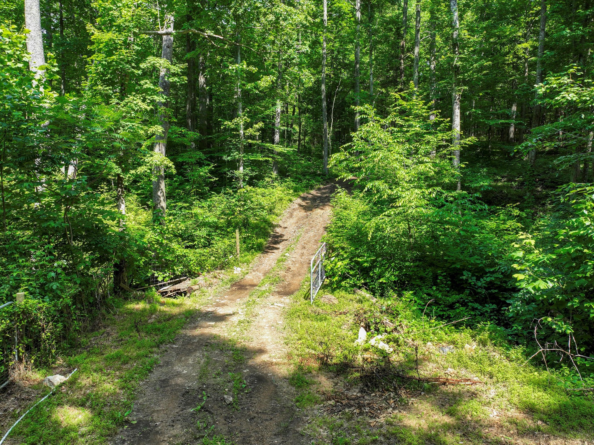 1288 Rogues Fork Road Bethpage, TN 37022 - Photo 3 of 98 Gallery Image 3