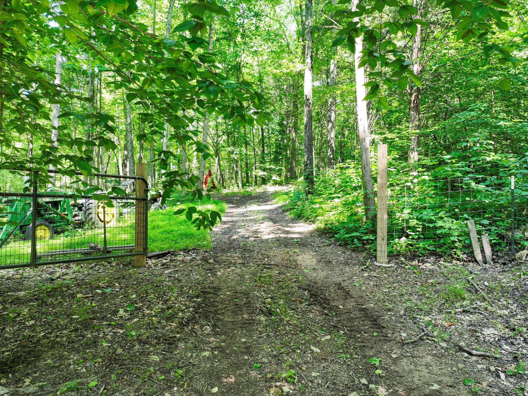 1288 Rogues Fork Road Bethpage, TN 37022 - Photo 7 of 98 Gallery Image 7