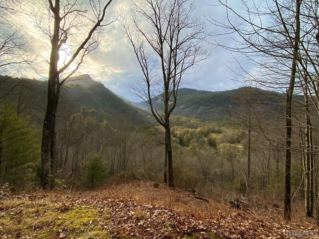 8-15 Golf View Road Sapphire, NC 28774 - Photo 1 of 10 Gallery Image 1