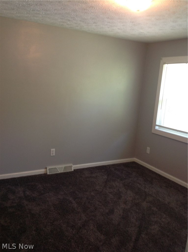 6019 Chapel Road Madison, OH 44057 - Photo 10 of 16
