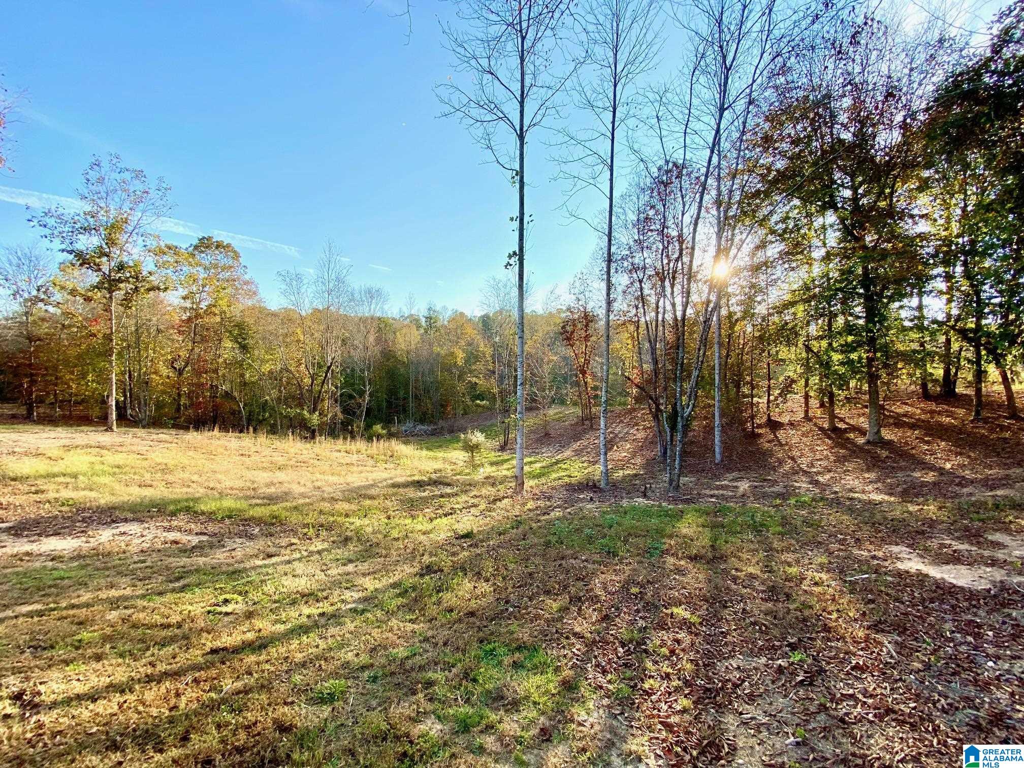 325 County Road 13 Heflin, AL 36264 - Photo 7 of 56