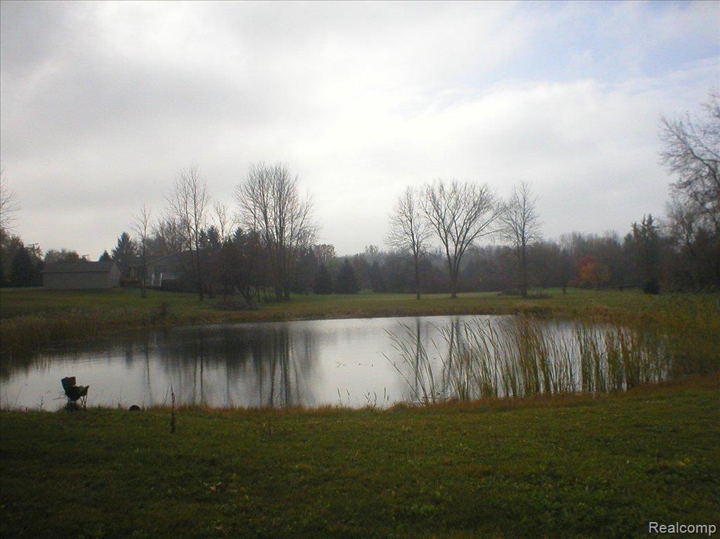 71545 Coon Creek Road Armada, MI 48005 - Photo 6 of 20 P1010033