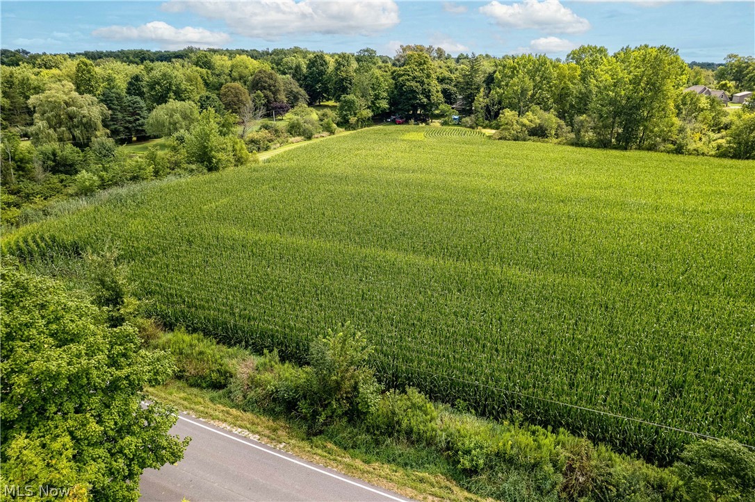6211 Beach Road Wadsworth, OH 44281 - Photo 8 of 16 Gallery Image 8