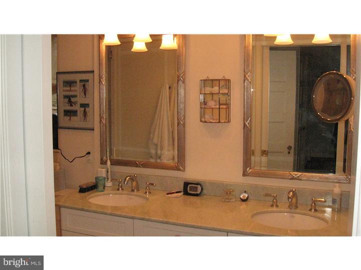 210 South Radnor Chester Road Villanova, PA 19085 - Photo 14 of 23 Master Bathroom