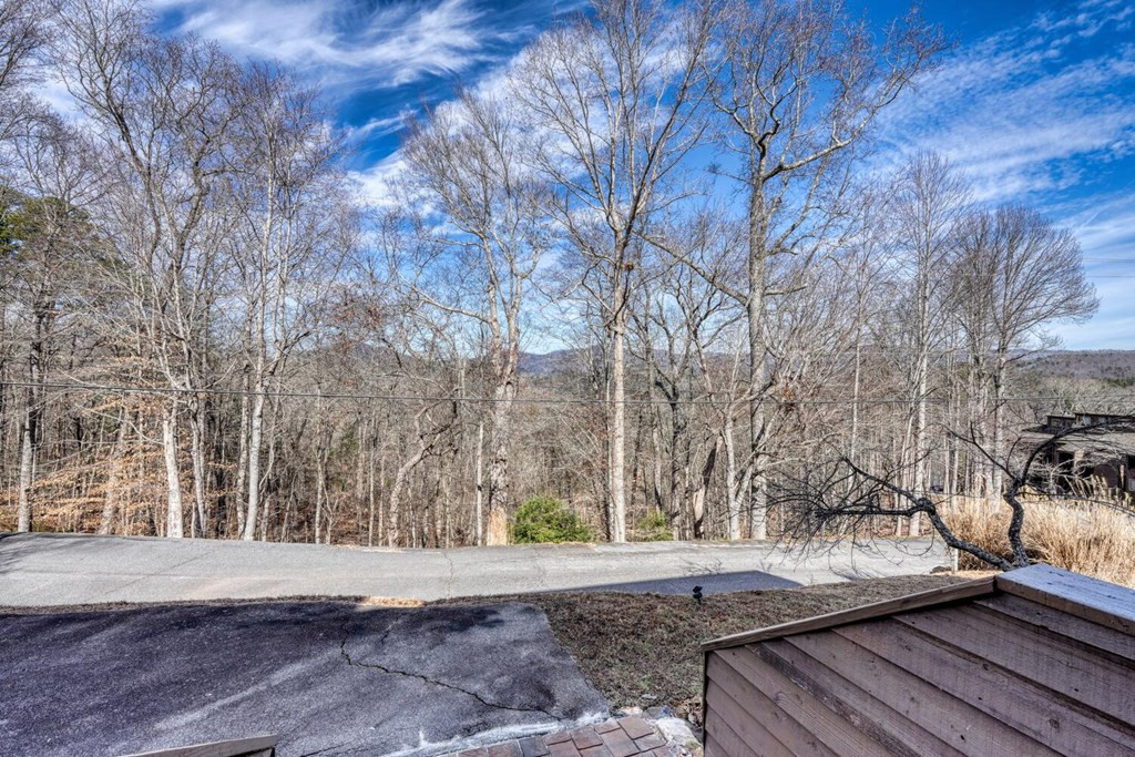 500 Marina Road, Unit B1 Murphy, NC 28906 - Photo 13 of 75