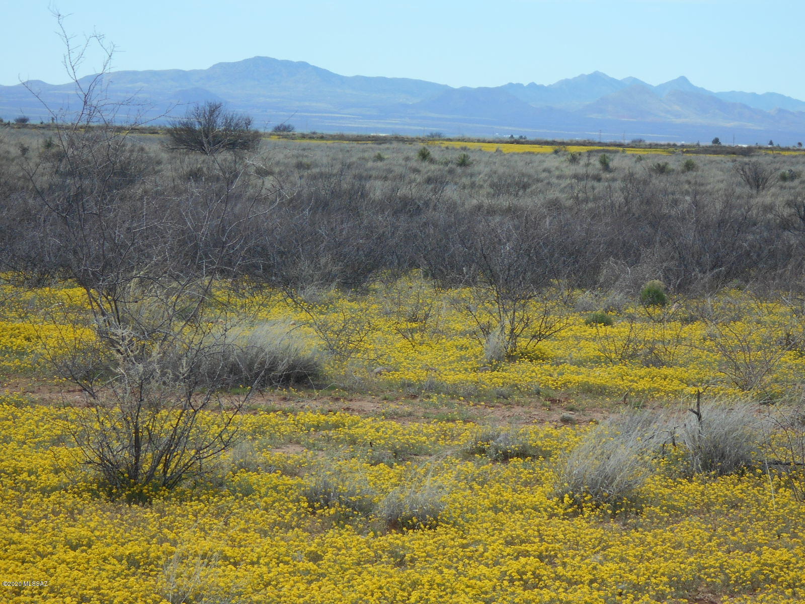 Tbd Double Ranch East McNeal, AZ 85617 - Photo 8 of 24 Gallery Image 8