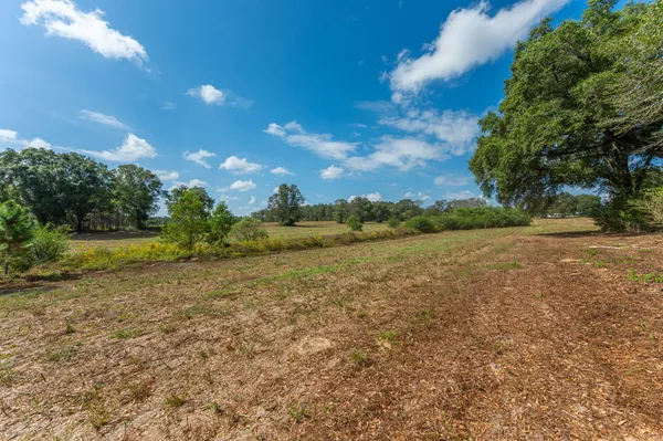 a view of a field with an trees
