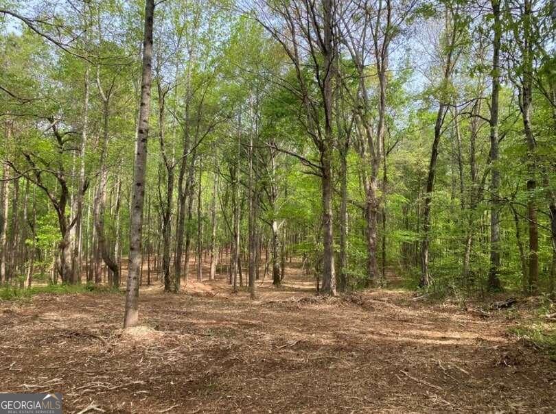 389 Owens Store Road Canton, GA 30115 - Photo 1 of 1 Gallery Image 1