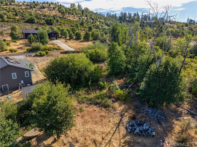 a view of a large yard with lots of green space
