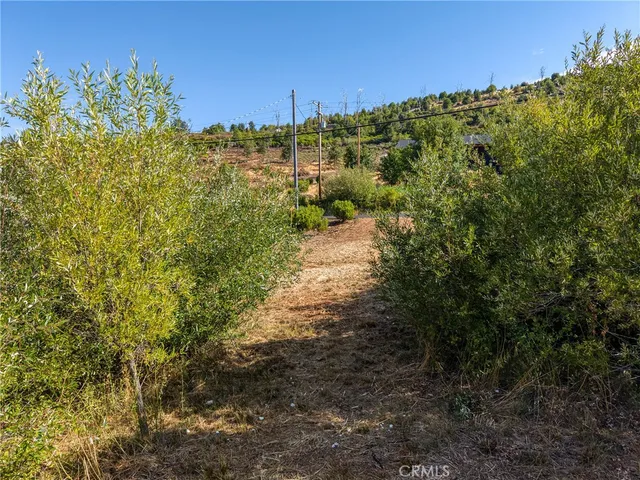 a view of a backyard of the house
