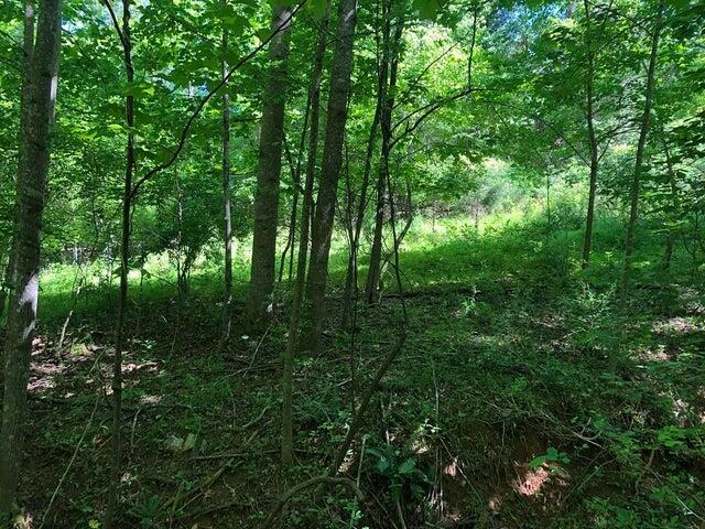 Lot 5 Morewood Road Hardy, VA 24101 - Photo 8 of 12 20190826192224446907000000-o
