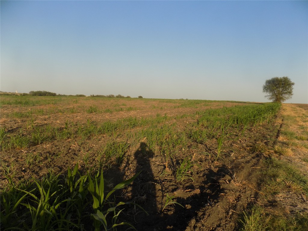 0 Krause Road Salado, TX 76571 - Photo 2 of 6