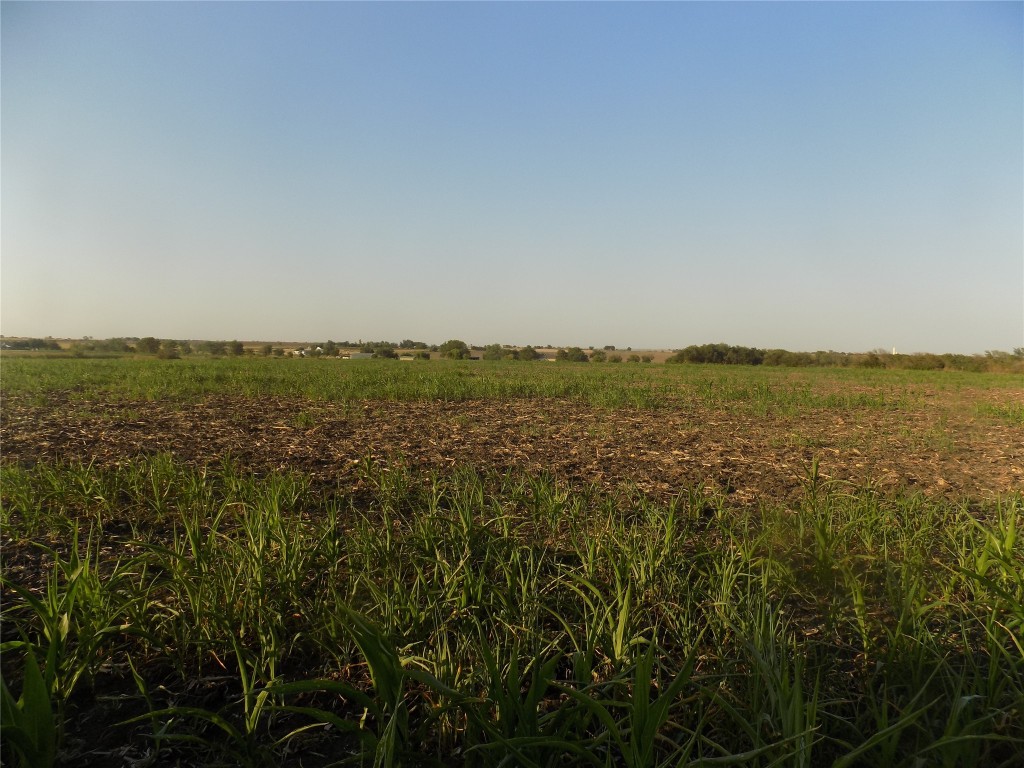 0 Krause Road Salado, TX 76571 - Photo 3 of 6