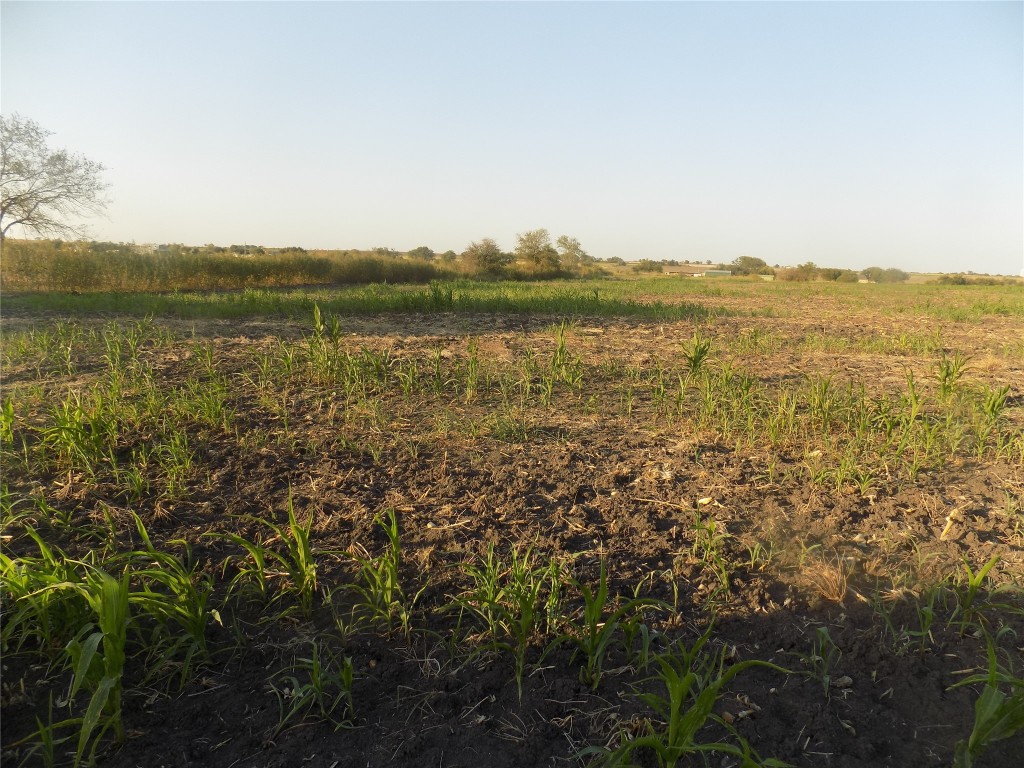 0 Krause Road Salado, TX 76571 - Photo 4 of 6