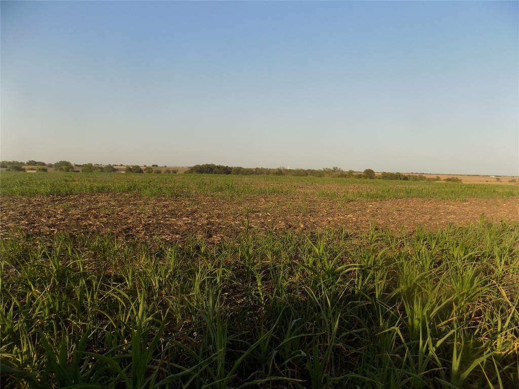 0 Krause Road Salado, TX 76571 - Photo 5 of 6