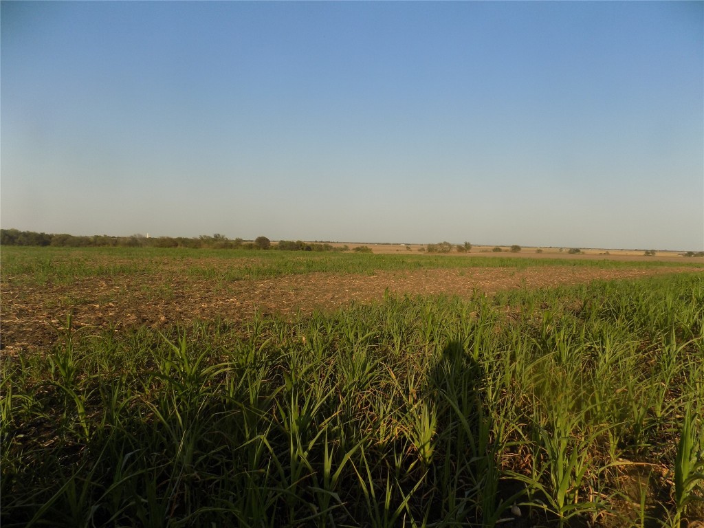 0 Krause Road Salado, TX 76571 - Photo 6 of 6