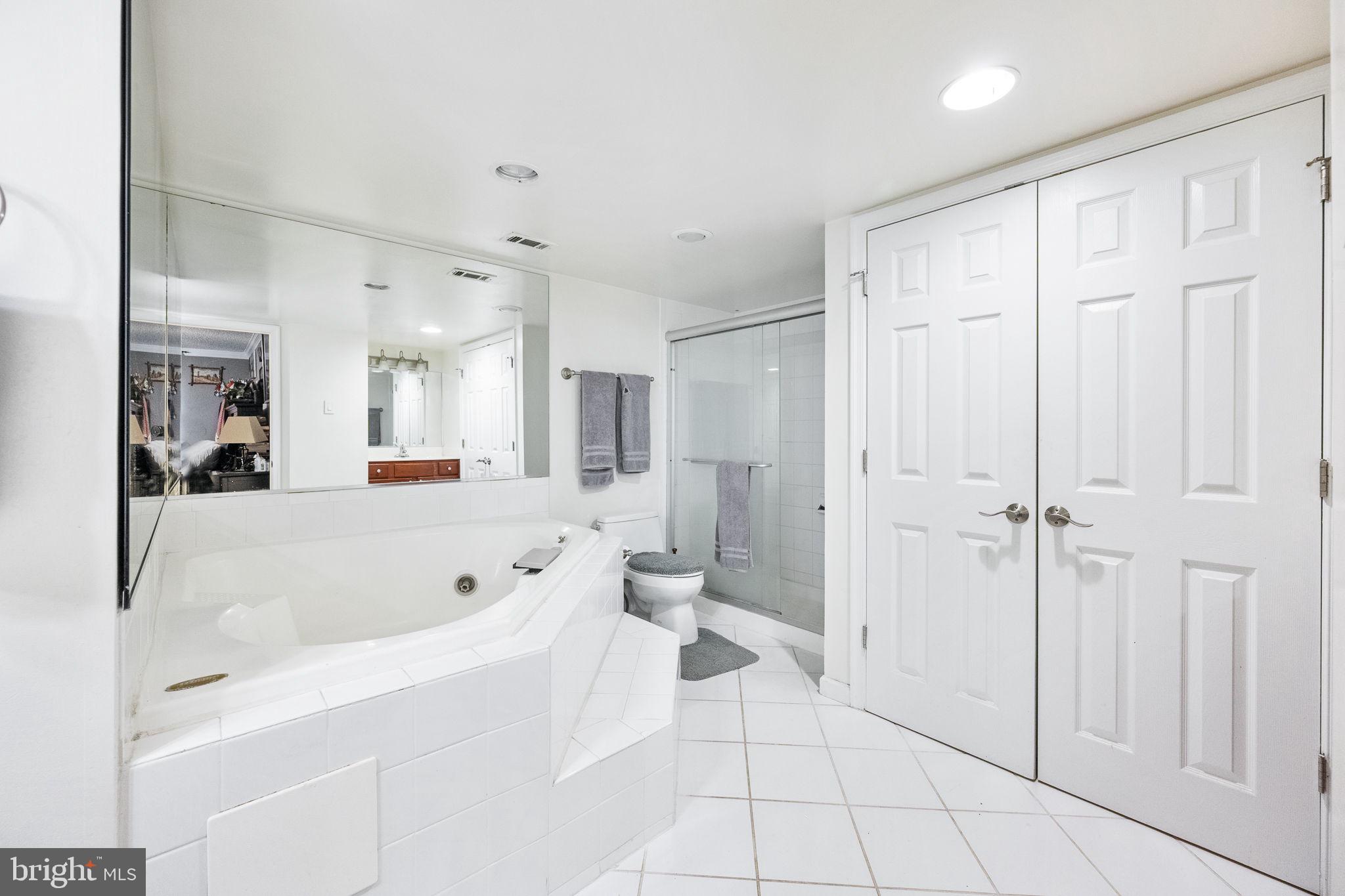 1515 South Arlington Ridge Road, Unit 303 Arlington, VA 22202 - Photo 23 of 34 a bathroom with a bathtub and a shower