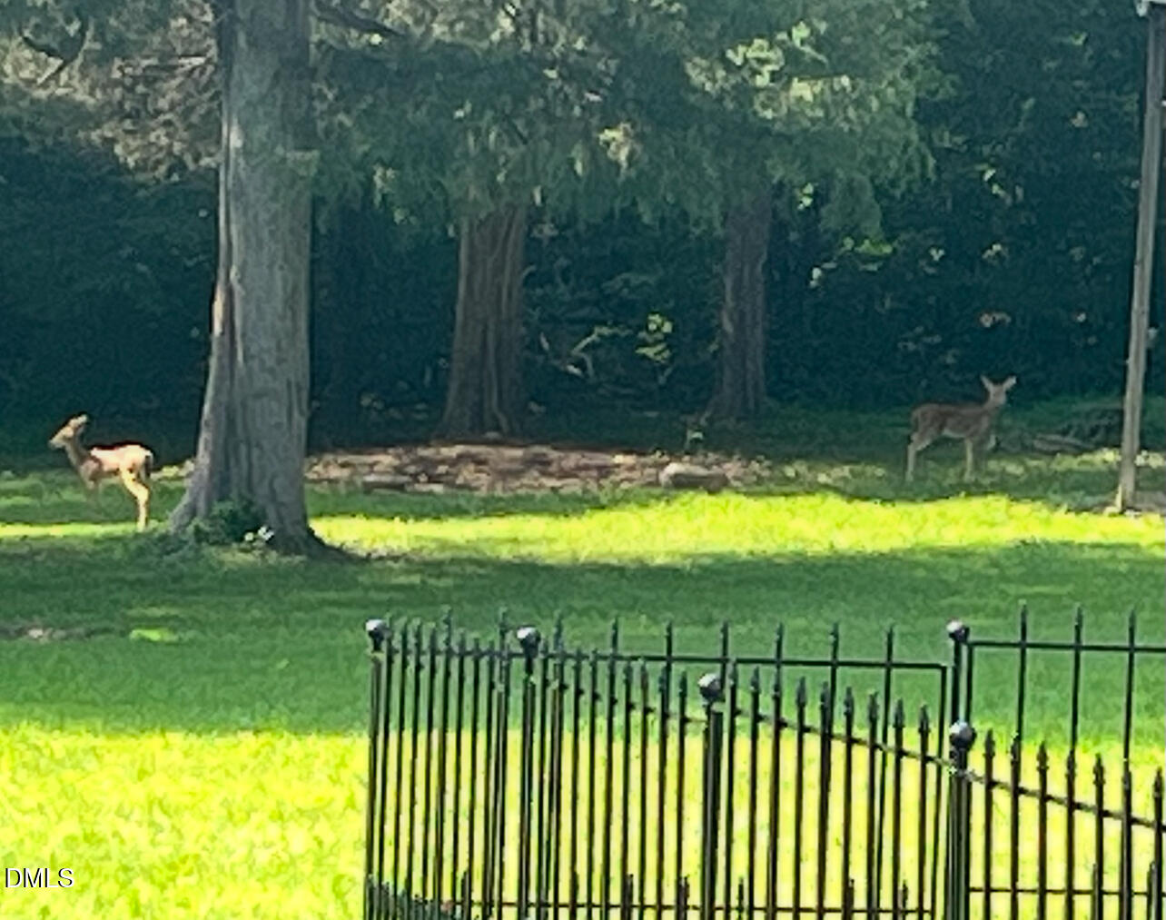 8877 Racine Road Pleasant Garden, NC 27313 - Photo 41 of 45 IMG_2352