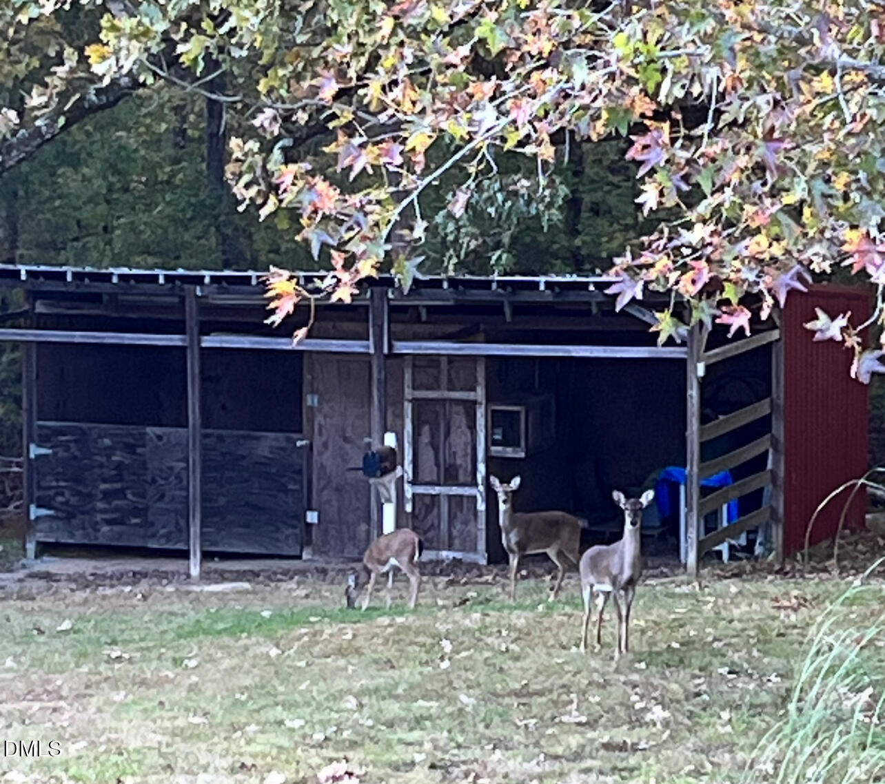 8877 Racine Road Pleasant Garden, NC 27313 - Photo 42 of 45 a front view of a house with garden