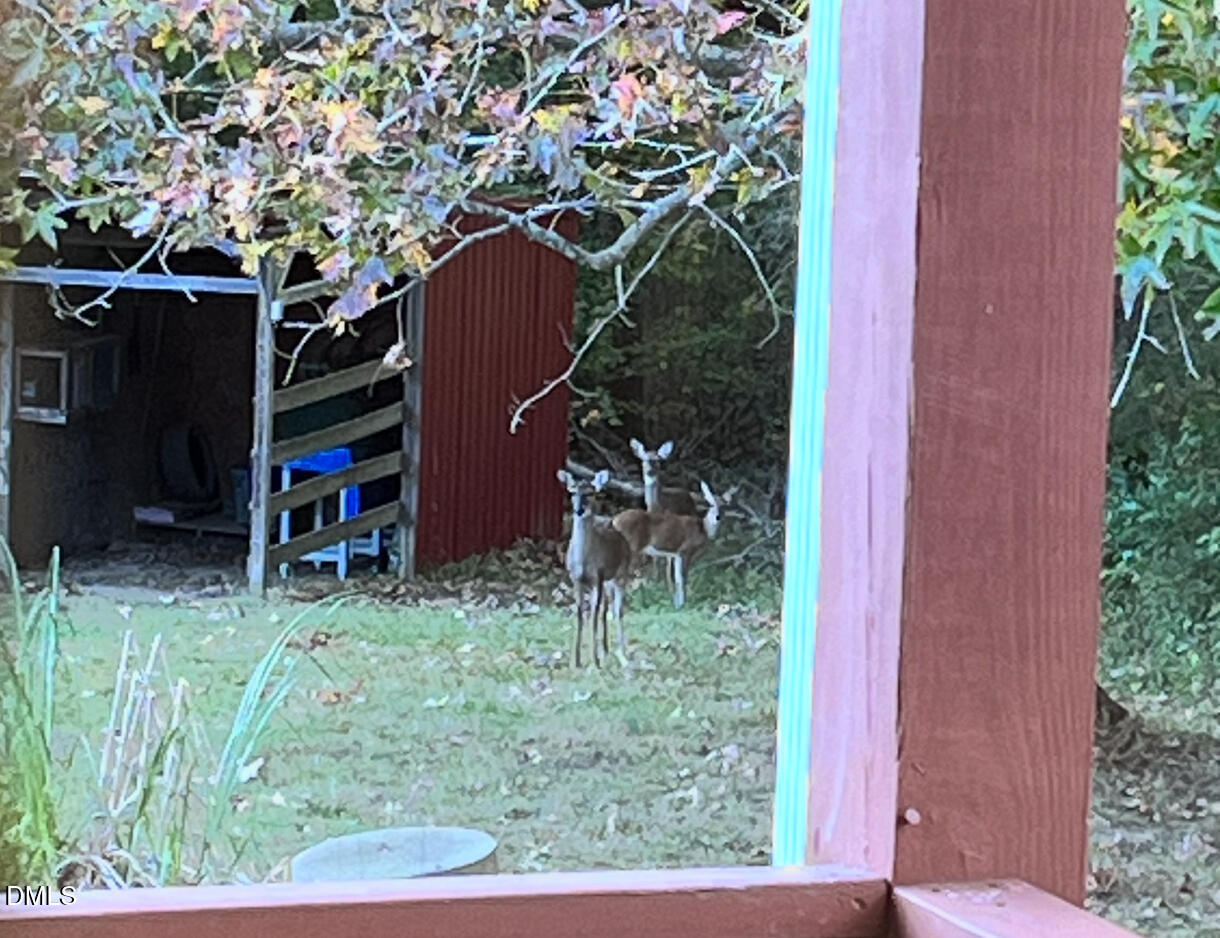 8877 Racine Road Pleasant Garden, NC 27313 - Photo 43 of 45 IMG_2353