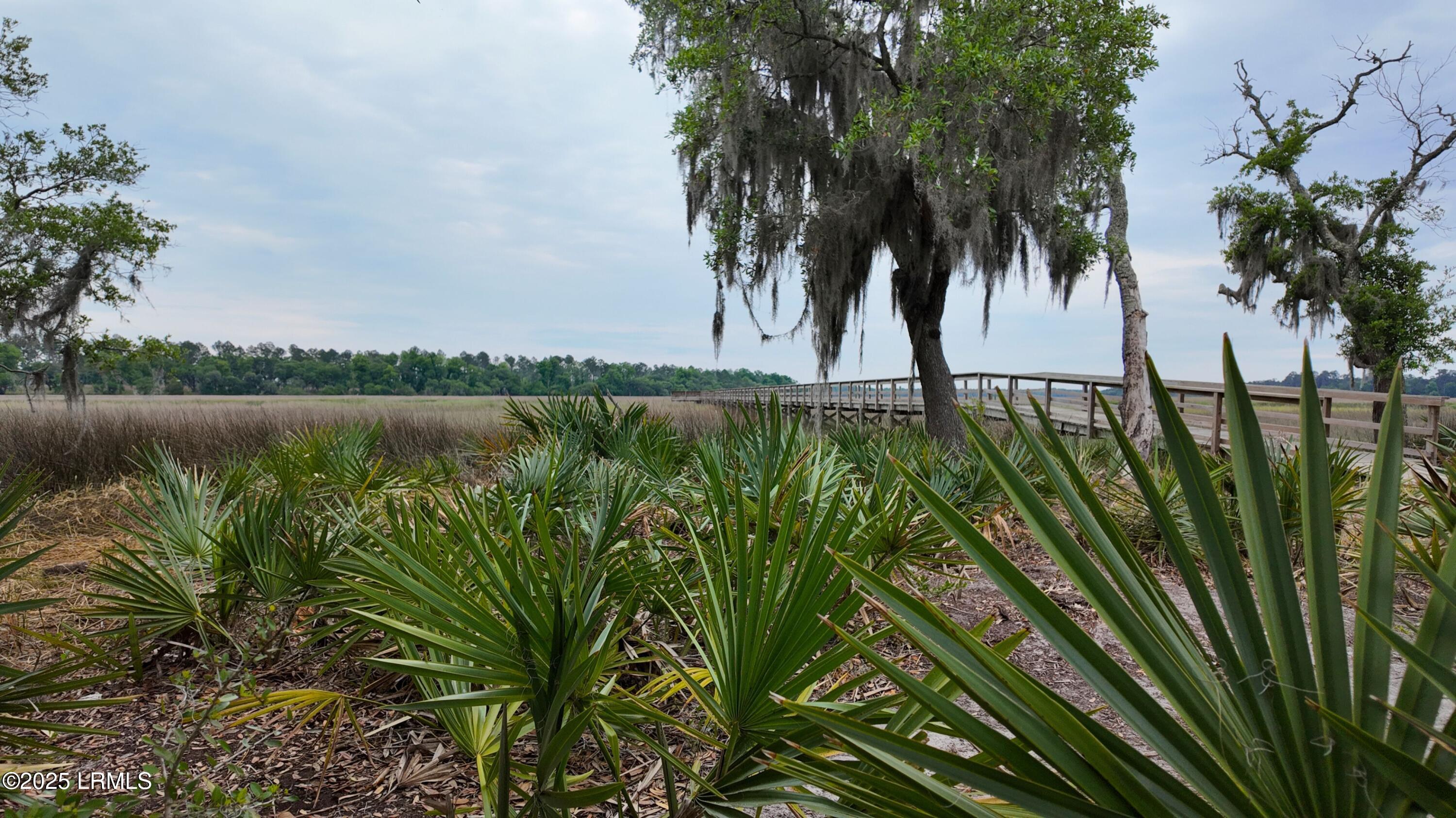 88 Founders Oak Way Yemassee, SC 29945 - Photo 8 of 8 88 Founders Oak Way