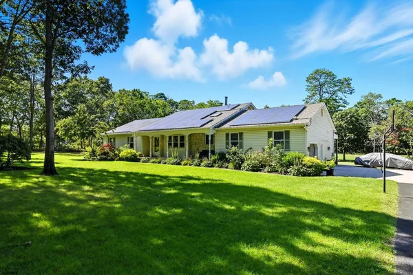 a view of a house with a big yard potted plants and a large tree
