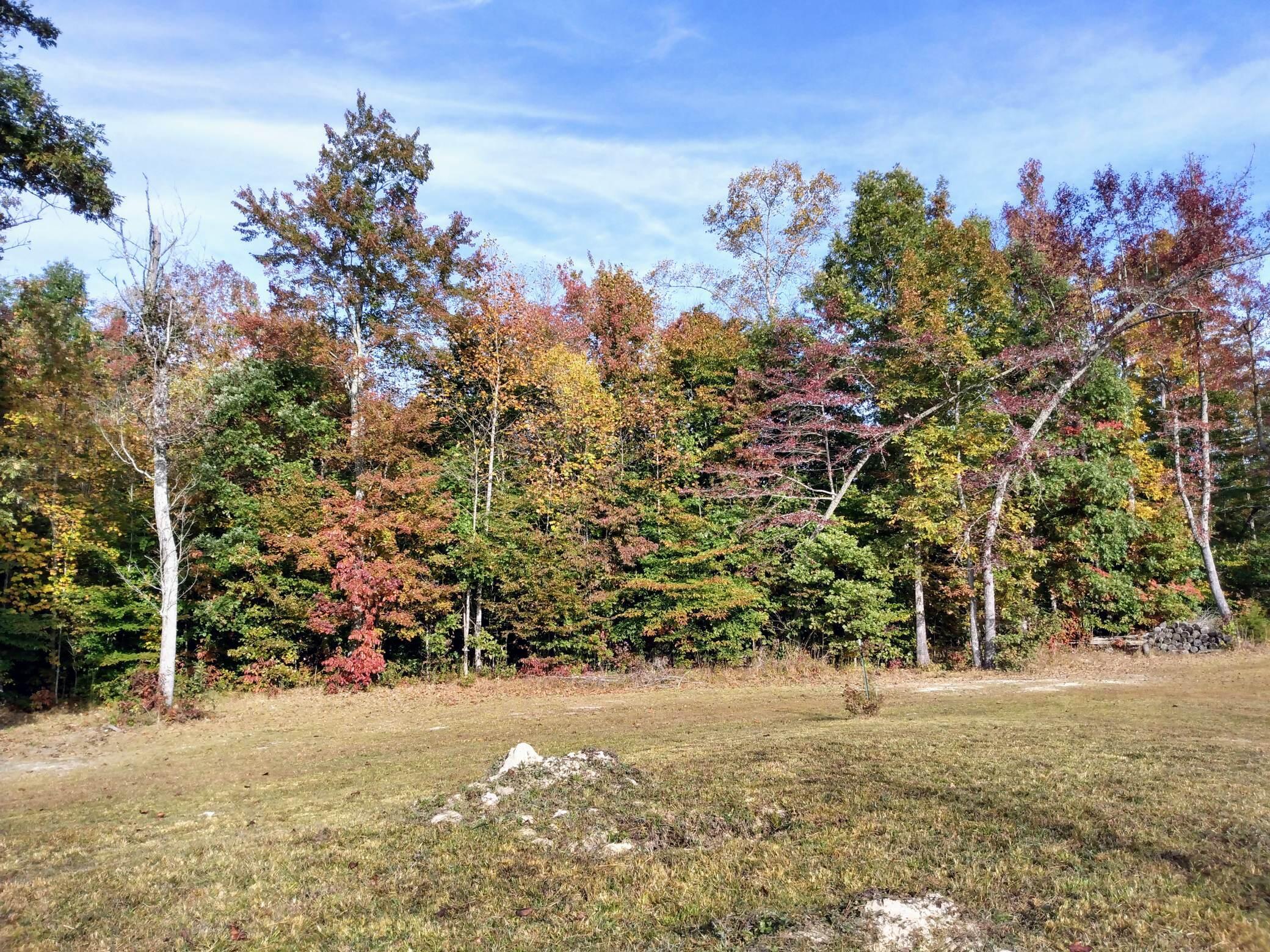 111 Alexander Spur Road Somerset, KY 42503 - Photo 16 of 17 IMG_20221011_094756151_HDR